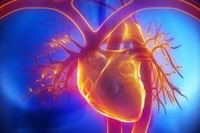 Dans ces conditions, le patient est dit « à risque » . - Les pathologies médicales et les influences de la cavité buccal