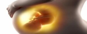 La grossesse - Les pathologies médicales et les influences de la cavité buccale