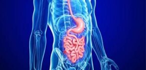 La maladie de Crohn - Les pathologies médicales et les influences de la cavité buccale