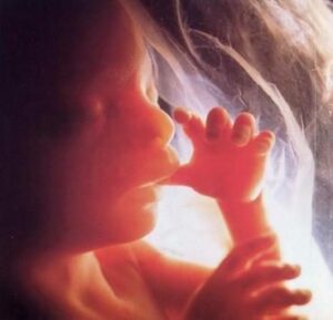 Le bébé suçait déjà son pouce avant de naître ! … - La croissance harmonieuse du visage