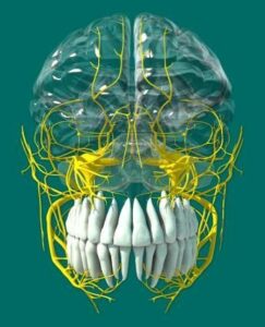 Les douleurs neuro-faciales - Les douleurs orales d’autres origines