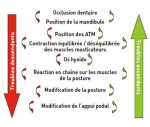 Les douleurs posturales - Les douleurs orales d’autres origines
